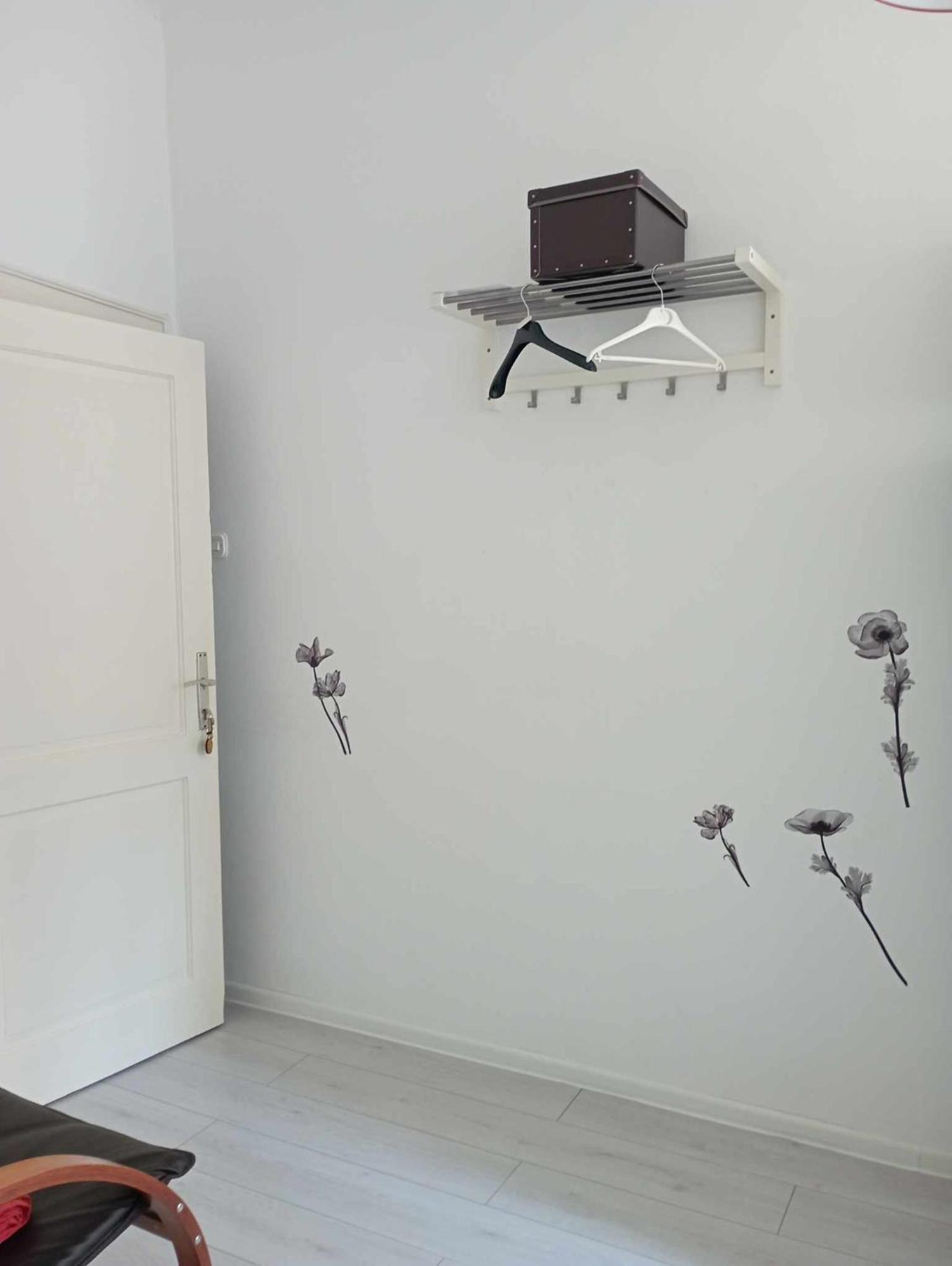 Apartman Angela Rovigno Esterno foto