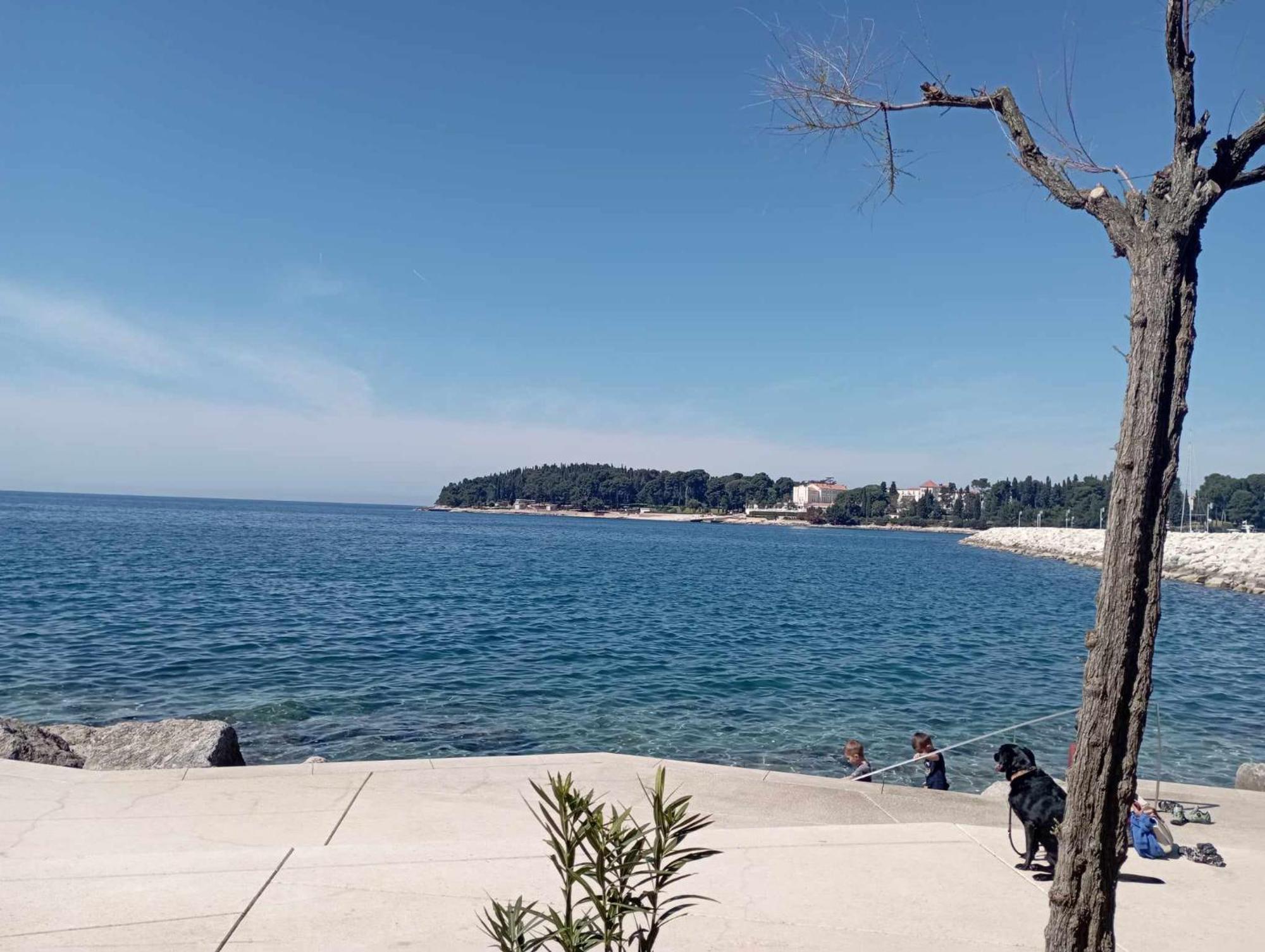 Apartman Angela Rovigno Esterno foto